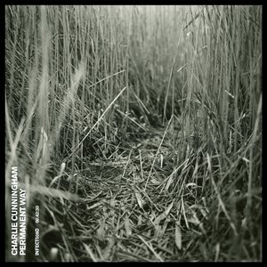 337p日本欧洲亚洲大胆精品
